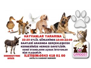 Antalya’da sokak hayvanları yararına kermes düzenlenecek
