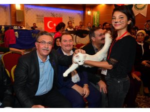 En güzel kedi Azra 10 bin TL ödül kazandı