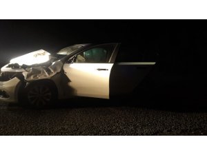 Otomobil aniden yola çıkan ineğe çarptı: 4 yaralı