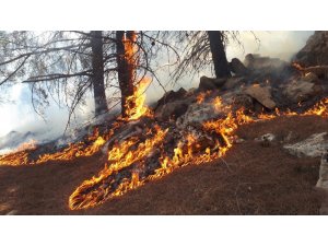 Ormanlık alan 14’üncü kez yandı