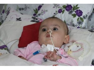 SMA hastası 8 aylık Hafsa Nur yardım eli bekliyor
