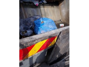 Zonguldak’ta 40 kilogram mantar imha edildi