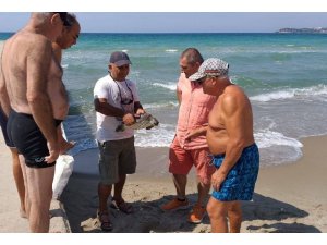 Kuşadası sahiline iki deniz kaplumbağası vurdu