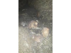 Bahçelievler’de altyapı kazısı sırasında çocuk kafatası bulundu