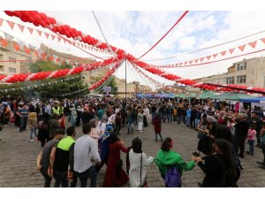 Mardin’de 2’nci Harire Şenliği düzenlendi