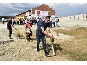 TİKA’dan Kosovalı çiftçilere destek