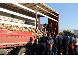 50 kuruşa satılan 120 ton patates dakikalar içinde tükendi