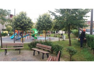 Gebze Belediyesi parkları temizliyor
