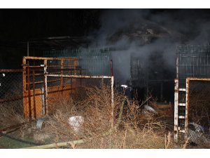 Karaman’da depoda bulunan arı kovanları yandı