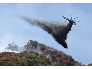 Kaliforniya’daki orman yangınlarında ölü sayısı 44’e yükseldi