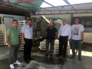 Yalova’ya termal su ile gıda kurutma tesisi kurulacak