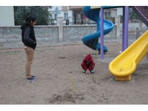 Çocuk parkında dehşete düşüren hayvana işkence kalıntıları