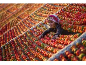 Ulusal fotoğraf yarışmasının birincisi BUFSAD oldu.