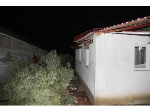 Fethiye’de fırtına ve yağış evlerin çatısını ve seraları uçurdu, ağaçları devirdi