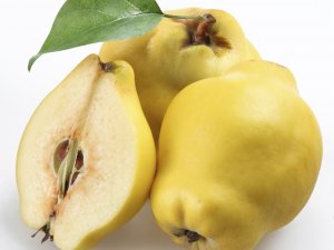 Kışın ayva yemeyi ihmal etmeyin