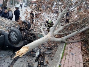 Kontrolden çıkan otomobil önce ağacı devirdi sonra takla attı