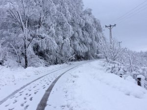 Fatsa’da kırsalda karla mücadele