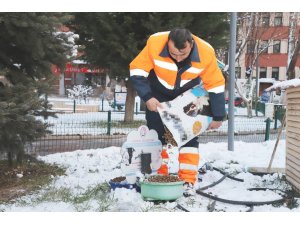 Çankırı Belediyesi soğuk havada sokak hayvanlarını unutmadı