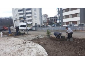 Fatsa Belediyesinin park çalışmaları