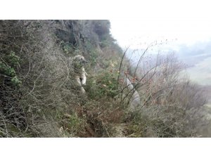 Kayalıklarda mahsur kalan sokak köpeğini itfaiye kurtardı