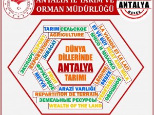Antalya tarımı 4 dile çevrildi