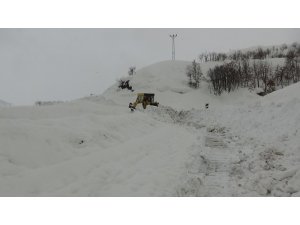 Kar ve tipiden kapanan köy yolları ulaşıma açılıyor