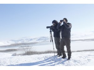 Tödürge ve Ulaş göllerinde kış ortası kuş sayılı yapıldı
