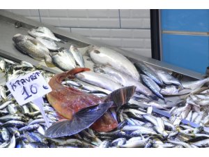 Sinop’ta balıkçılar umutlarını dip balıklarına bağladı