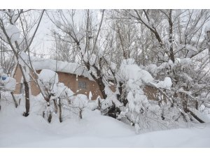 Yüksekova’da kar manzaraları