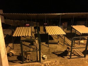 Mardin’de hayvan barınaklarına ısıtıcılar konuldu