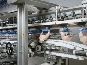 Garip Tavukçuluk konkordato talep etti