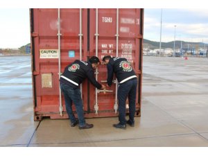 İzmir Aliağa Limanı’nda 500 bin paket kaçak sigara ele geçirildi