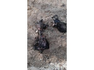Çobanbey Gümrük Kapısı yakınlarında patlama: 7 yaralı
