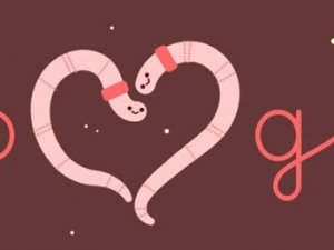 Google'dan 14 Şubat Sevgililer Günü'ne özel doodle