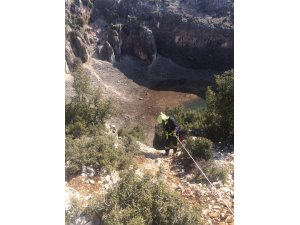 Kanyonda mahsur kalan keçiyi itfaiye kurtardı