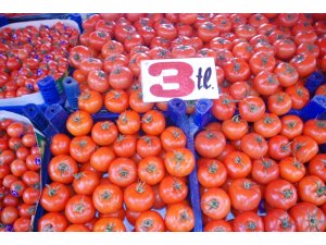 Tokat’ta domates tanzim satış fiyatından satılıyor