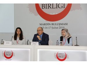 Mardin  “Anadolu Tarih ve Kültür Birliği Buluşmaları”na  ev sahipliği yapıyor