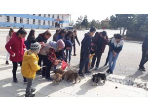 Öğrenciler harçlıklarıyla yem alıp sokak hayvanlarını besledi