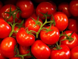 İstanbullular, tanzim satış noktalarından en çok domates aldı