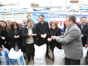 Gaziantep’te 350 çiftçiye 70 ton nohut tohumu dağıtıldı