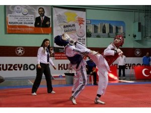 Taekwondo’da 14 madalya