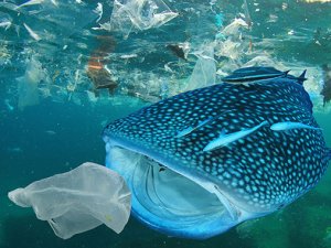 104 milyon ton plastik doğaya karışacak!