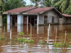 Endonezya'da sel felaketinde 70 kişi hayatını kaybetti