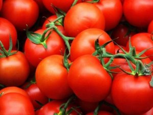 17 ton domatesi Ukrayna geri gönderdi