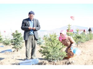 Kırşehir’de şehitler hatıra ormanı açıldı