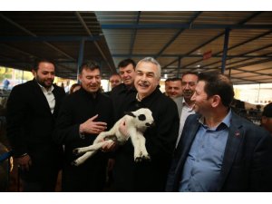 Mustafa Savaş’a dalama hayvan pazarında yoğun ilgi