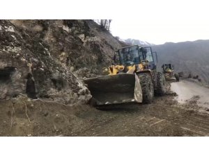 Siirt’te dağdan kopan dev kaya parçası yolu ulaşıma kapattı