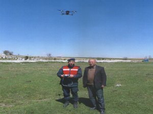 Kaybolan büyükbaş hayvanlar drone ile bulundu