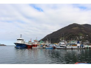 Balıkçılığın Trabzon ekonomisindeki yeri