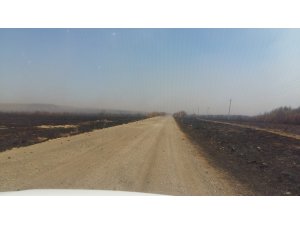 Rusya’daki orman yangını ardında felaket bıraktı